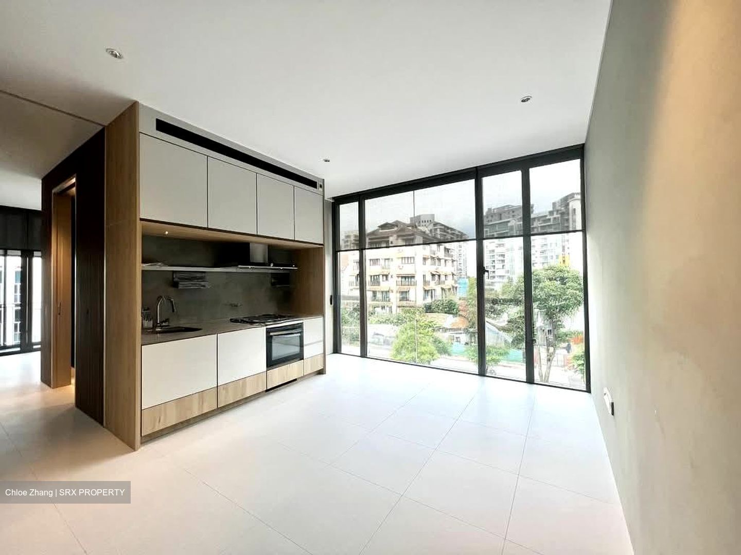 PETIT JERVOIS (D10), Apartment #553321031